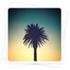 Aviary - Classic Effects icon
