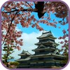 Spring Sakura Blossom Video Wallpaper icon