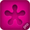 Pink Pad Pro icon