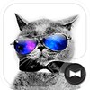 Cool Cat x Galaxy icon
