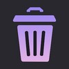 Rapid Cleaner icon