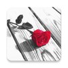 أيقونة Photo Art - Color Effects