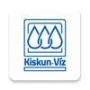 Икона Kiskunvíz