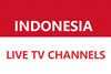 indonesia live tv channels icon