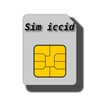 Sim Serial Number ( ICCID ) icon
