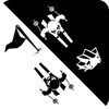 Black & white ski challenge icon