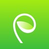 Икона Sprout HR