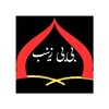 Bibi Zainab a.s Khutbat icon