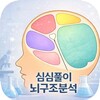 Icono de 심심풀이 뇌구조분석