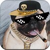 Thug Life Picture Editor icon