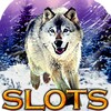 Slots Wolf Run icon