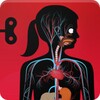 The Human Body by Tinybop icon