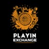 Playing Exchange icon