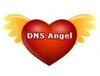 DNS Angel icon