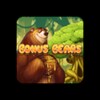 Bonvs Bears icon