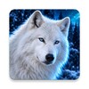 Icona di White Wolf Wallpapers