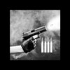 Guns & Destruction icon