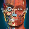 Biểu tượng 3D Anatomy Learning