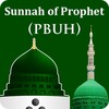 Daily Sunnah icon