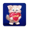 Cute Cat Live Wallpaper icon