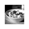 Quick and Easy Recipes simgesi