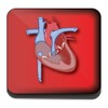 Heart Defects icon