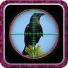 City Crow Hunting 3D icon
