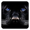 Black Panther Live Wallpaper simgesi