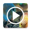 Fish Video Wallpaper icon