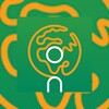 Icono de innosvět