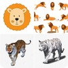 ไอคอน animal quiz