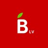 Икона Barbora.LV