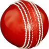 Cricket All-rounder | Practice icon