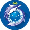Cruzeiro - Notícias icon