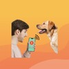 Icona di Human to Dog Translator