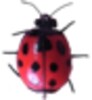 Bugz icon