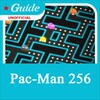 Ikon Guide for Pac Man 256