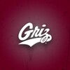 Montana Grizzlies icon