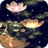 Water Lotus Lantern icon