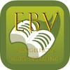 Evang. BijbelVertaling - EBV icon