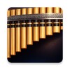 Icona di Pan Flute
