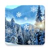 Icona di Winter Live Wallpaper