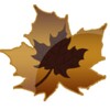 antumn leaf water drops theme icon