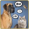 Animals Translator simgesi