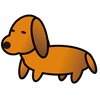 DachshundUrl icon