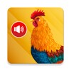 Animal Ringtone icon