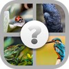 Quiz animales icon