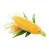 Кукуруза: от А до Я icon