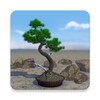 Bonsai 3D Live Wallpaper icon