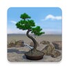 Icon von Bonsai 3D Live Wallpaper